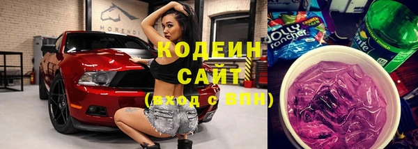 ПСИЛОЦИБИНОВЫЕ ГРИБЫ Гусь-Хрустальный