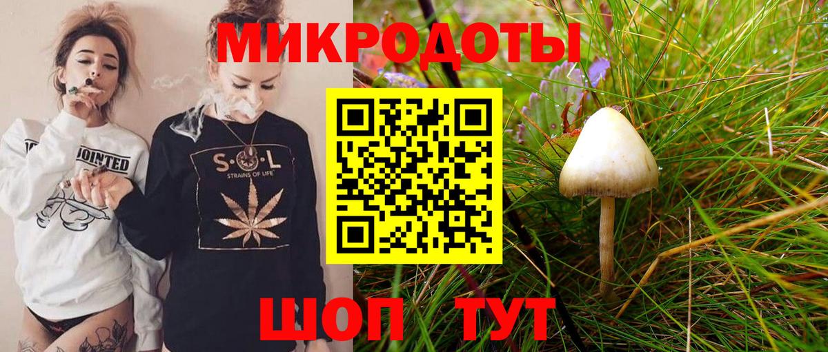 Галлюциногенные грибы Psilocybine cubensis Брянск